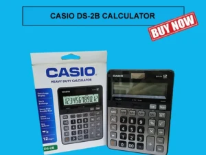 Casio Ds-2B Heavy Duty Calculator-BLACK,GREY